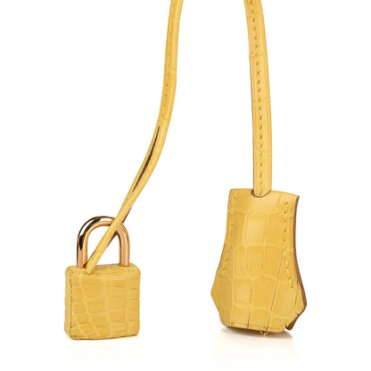 Bright Sunlit Mimosa Yellow Distinct Scaled Texture Compact Rigid Hand Tote With Polished Golden Twist Lock Hardware And Matching Scaled Suspended Metal Padlock Charm